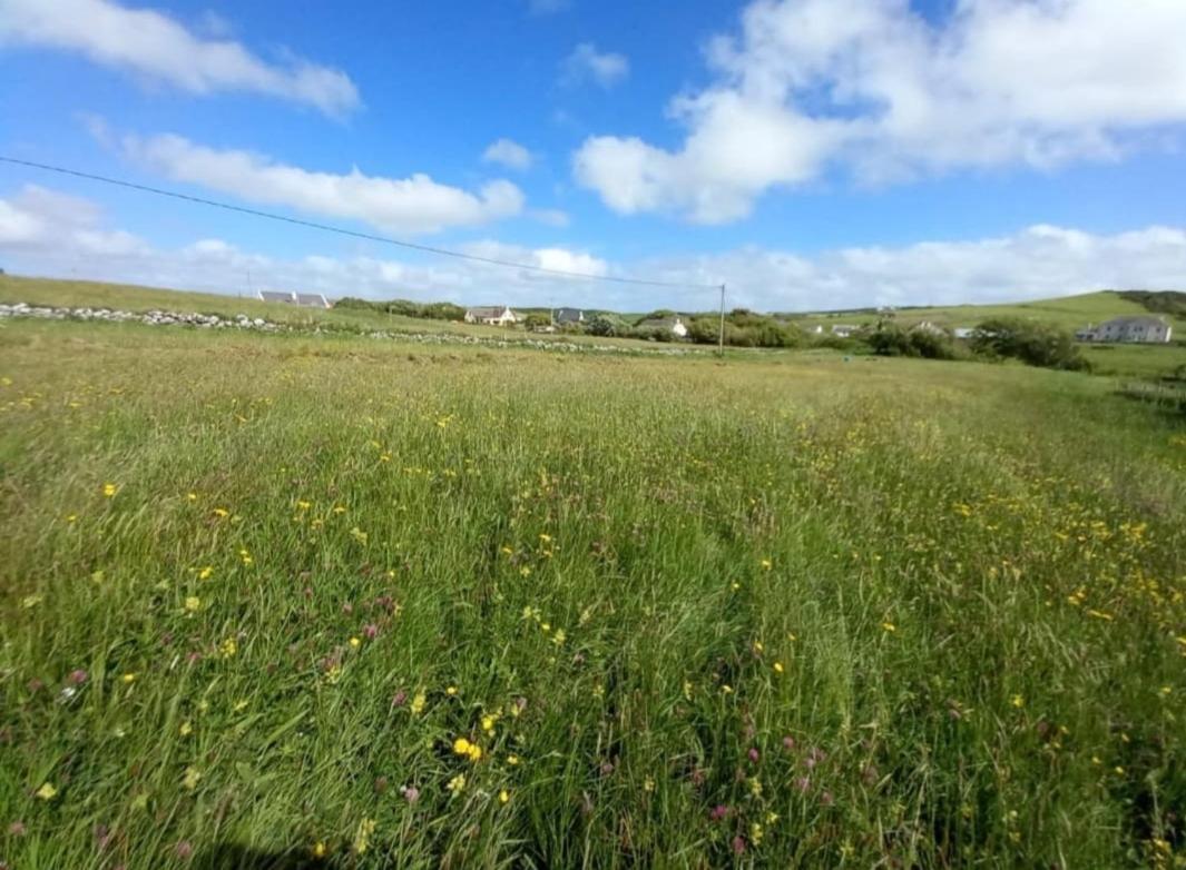 Wild Meadow Huts Villa Doolin Bagian luar foto
