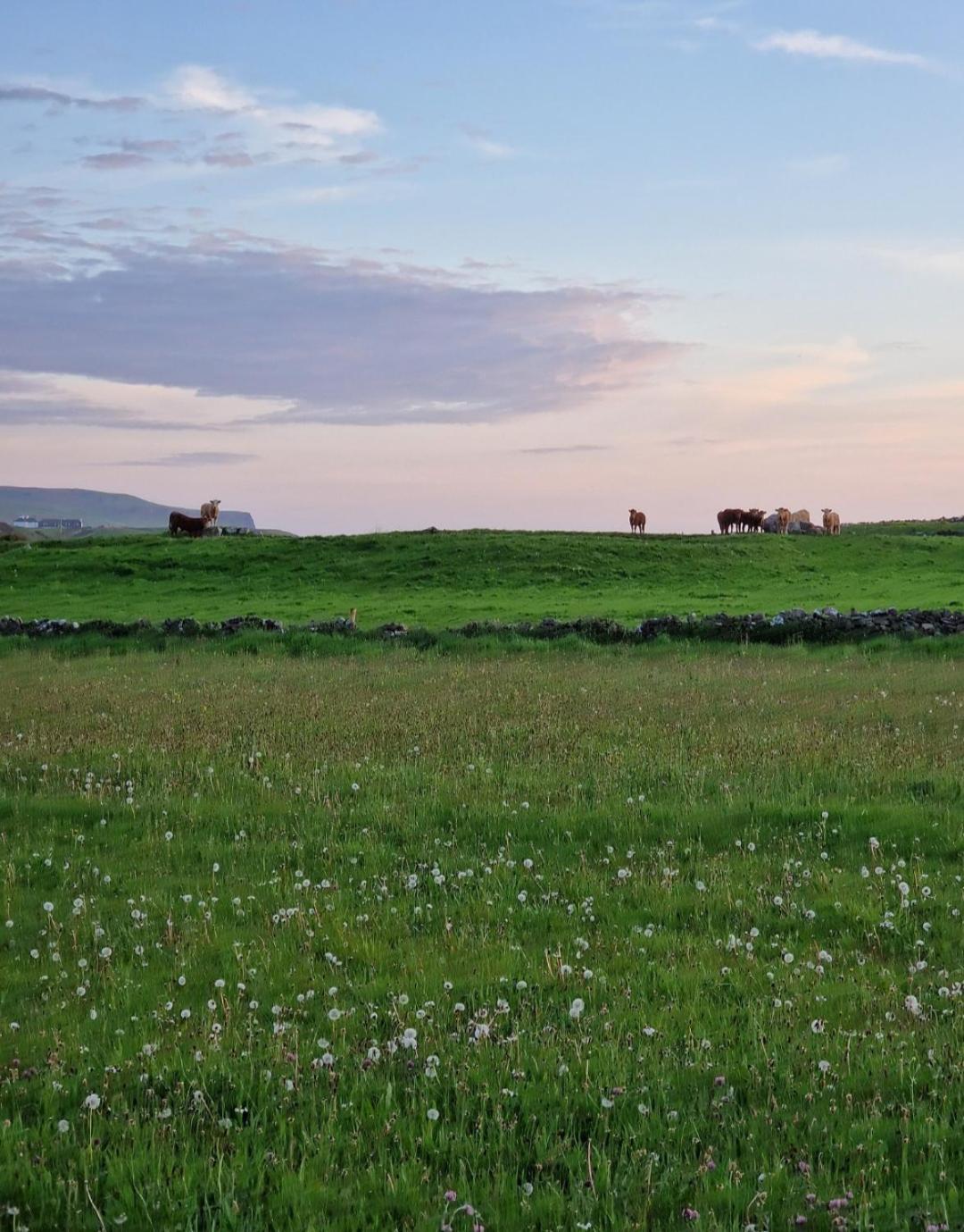 Wild Meadow Huts Villa Doolin Bagian luar foto