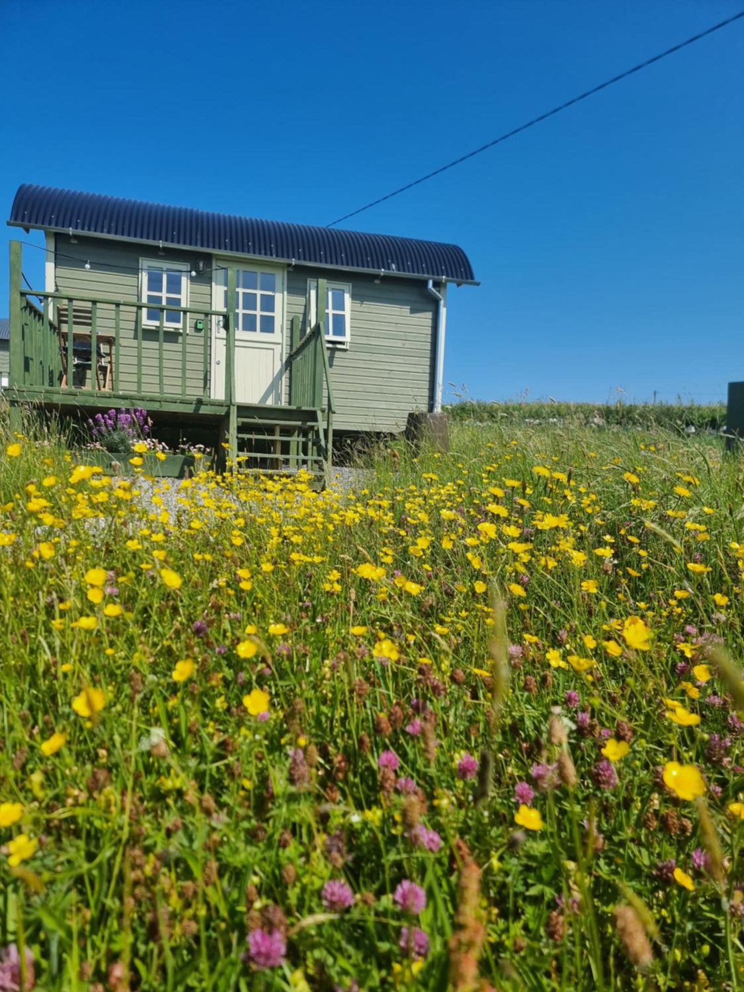 Wild Meadow Huts Villa Doolin Bagian luar foto