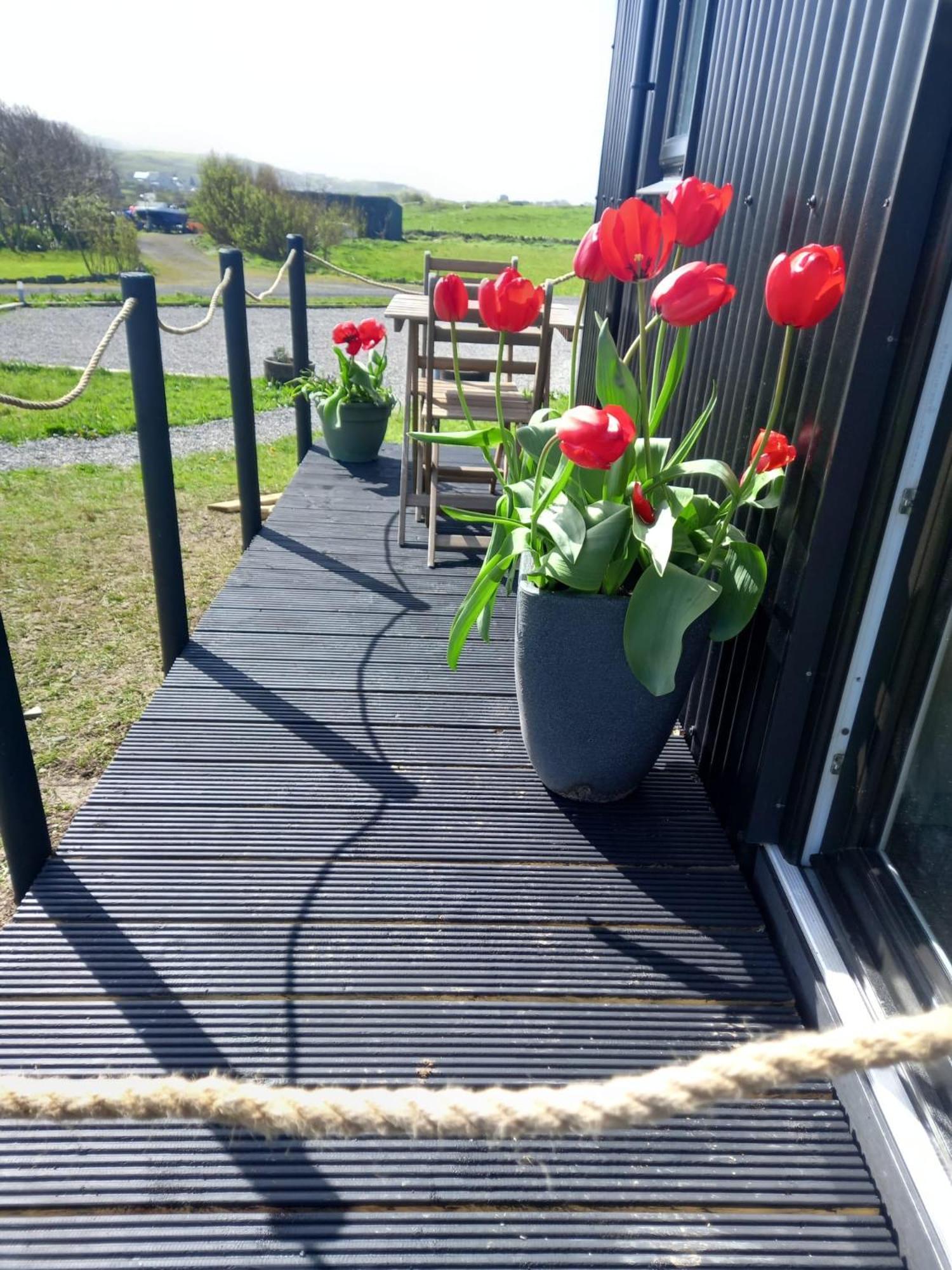 Wild Meadow Huts Villa Doolin Bagian luar foto