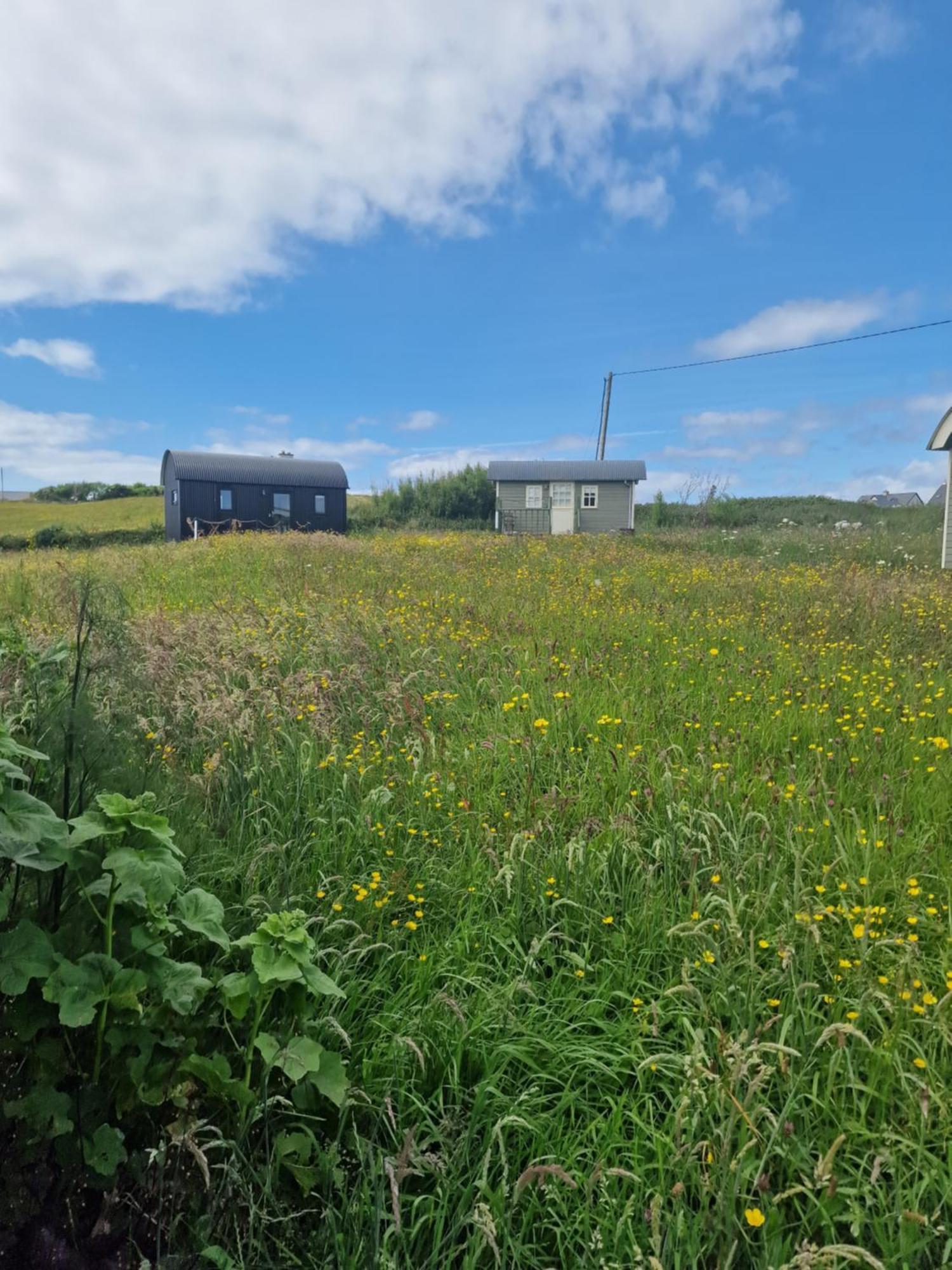 Wild Meadow Huts Villa Doolin Bagian luar foto