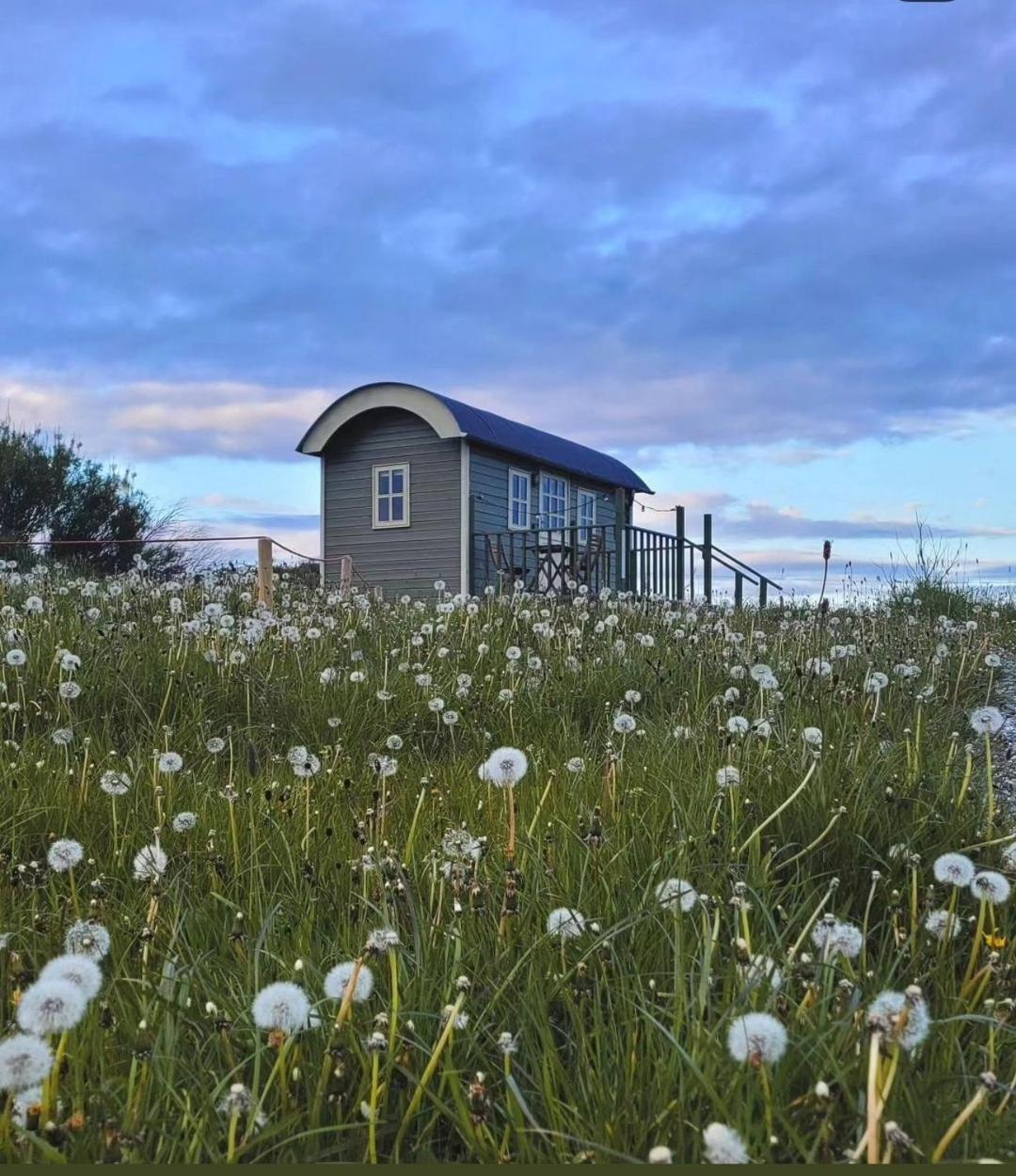 Wild Meadow Huts Villa Doolin Bagian luar foto