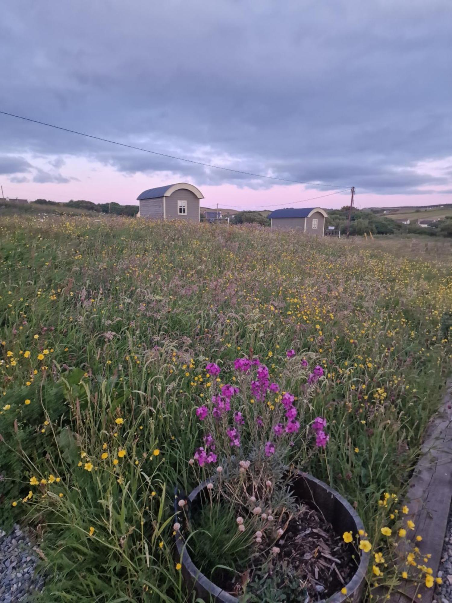 Wild Meadow Huts Villa Doolin Bagian luar foto