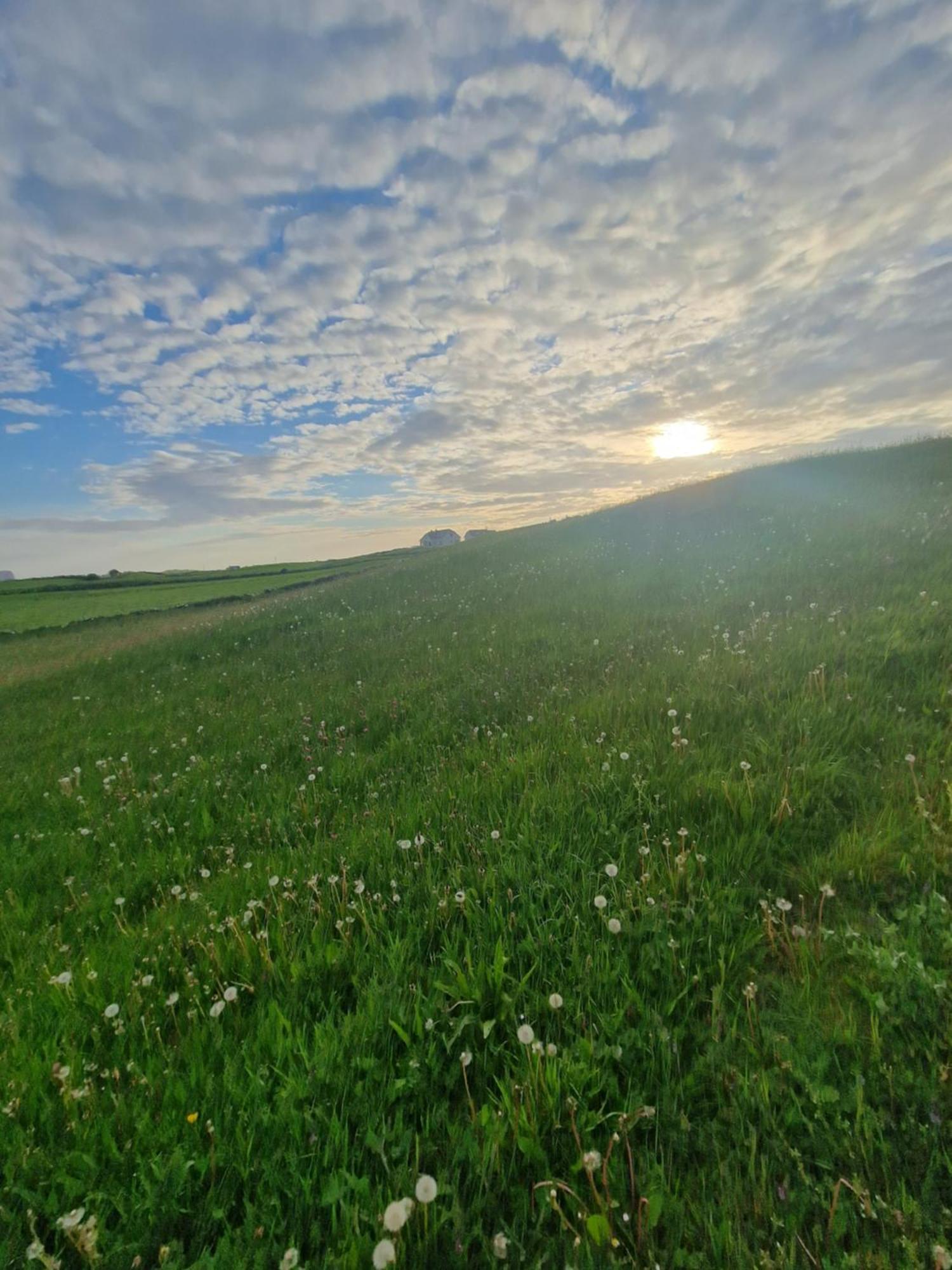 Wild Meadow Huts Villa Doolin Bagian luar foto