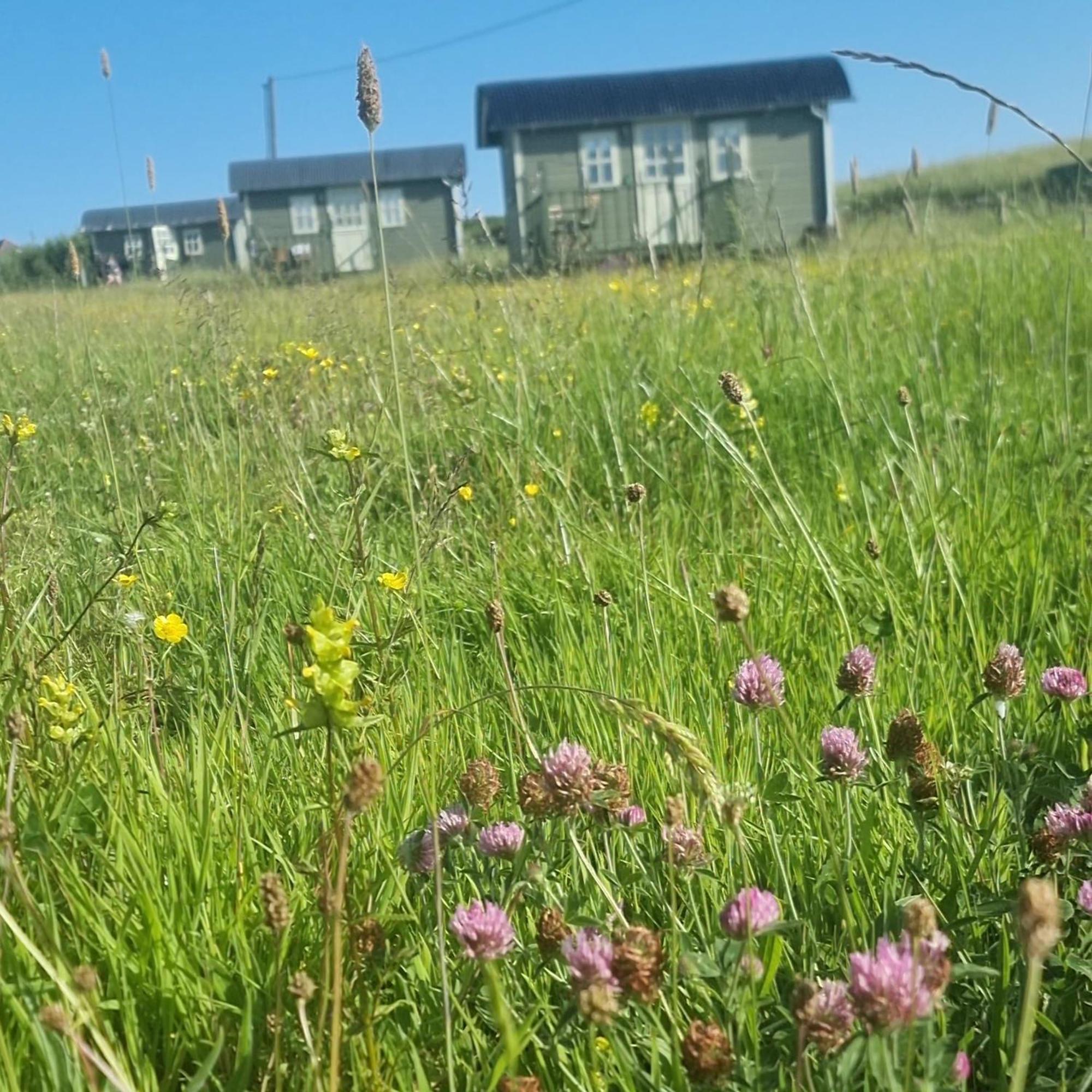 Wild Meadow Huts Villa Doolin Bagian luar foto